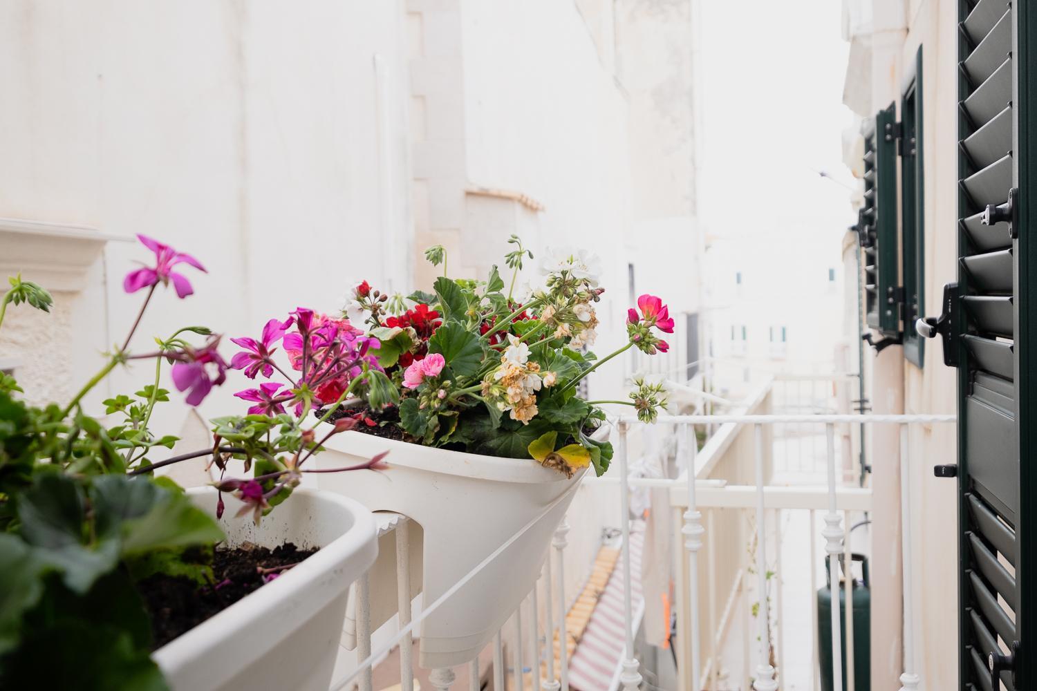 Casa Giulia Bed & Breakfast Vieste Luaran gambar